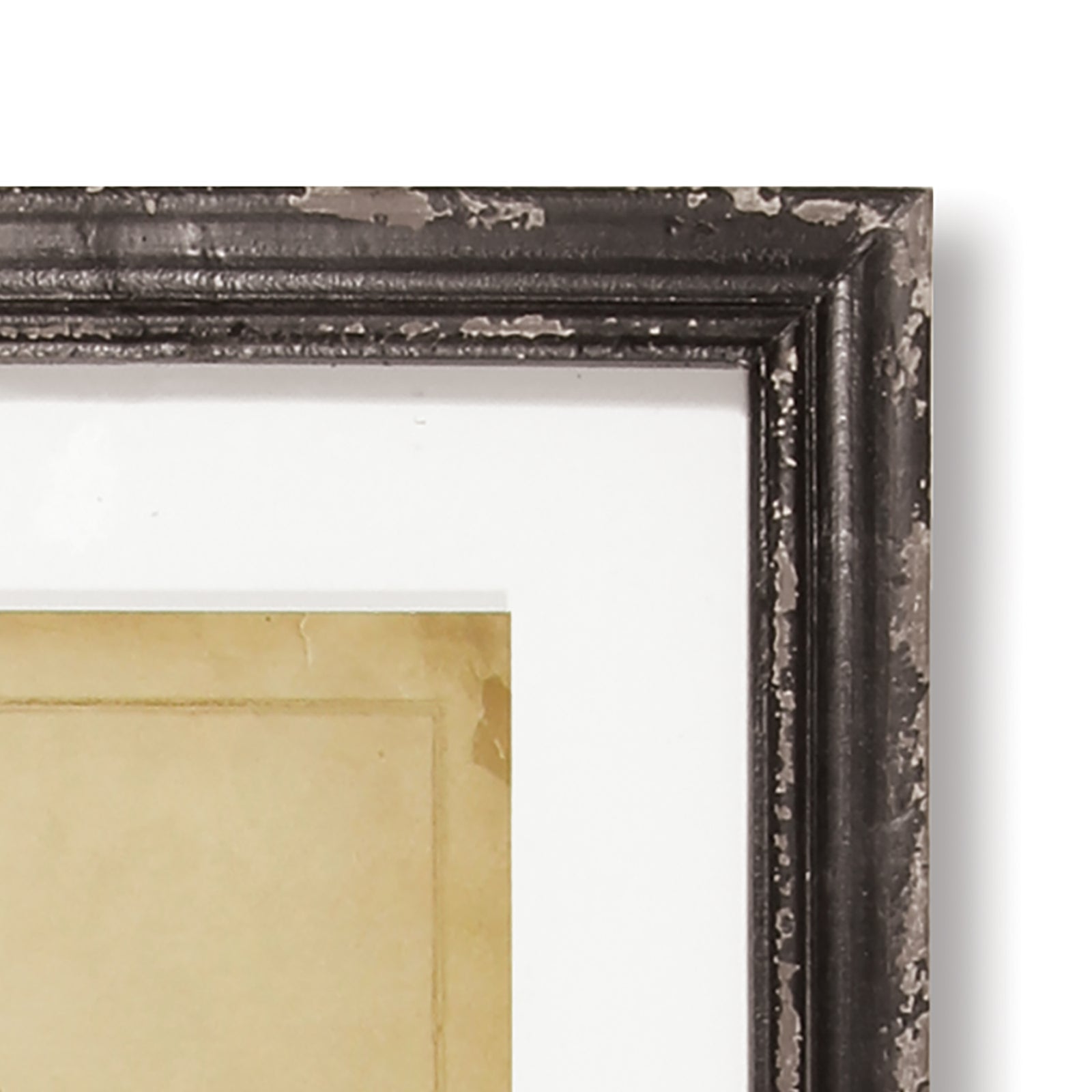 Framed Antique Fern, Set of 8