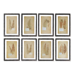 Framed Antique Fern, Set of 8
