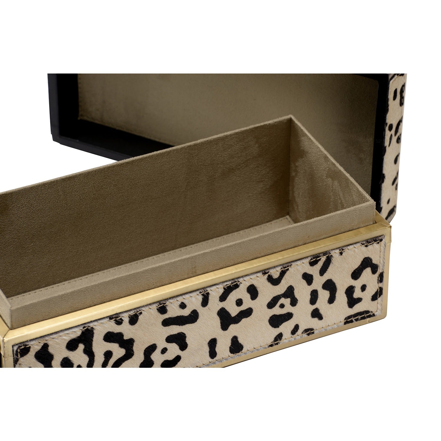 Boxed In - Leopard