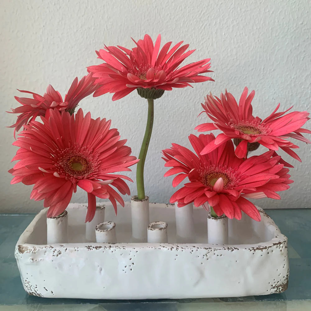 Ceramic Boat Tulipiere