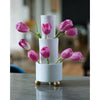 TULIPIERE WHITE WITH GOLD FEET