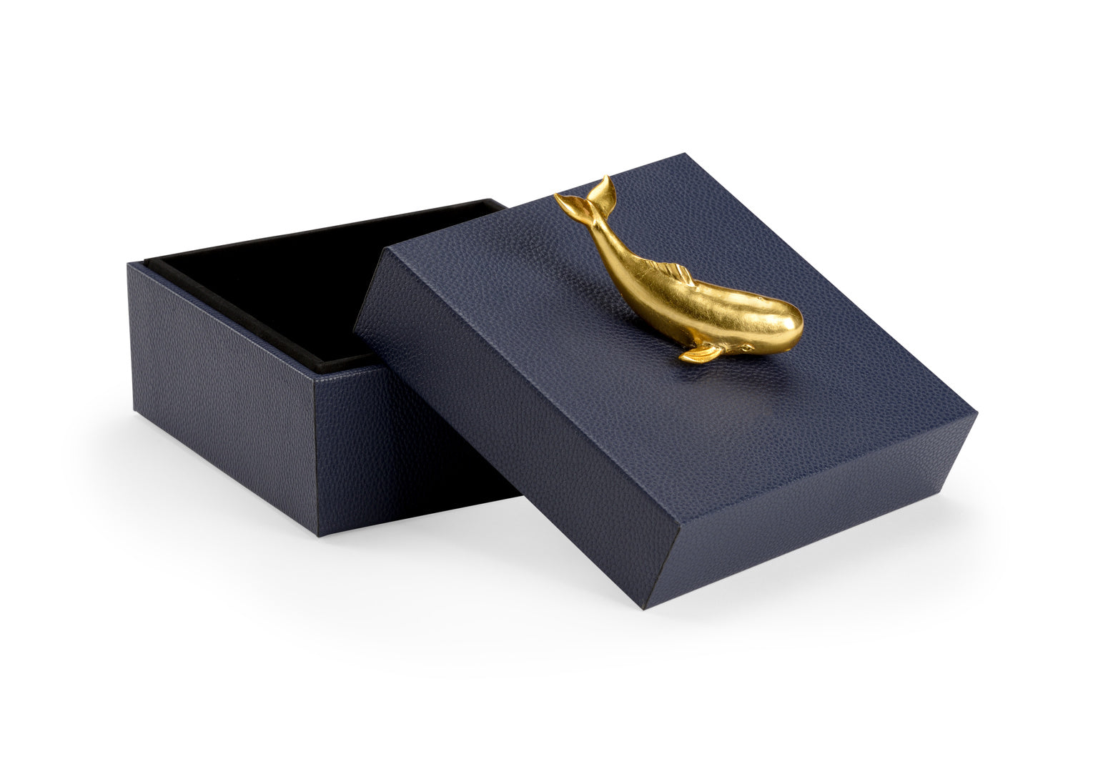 Whale Handle Box