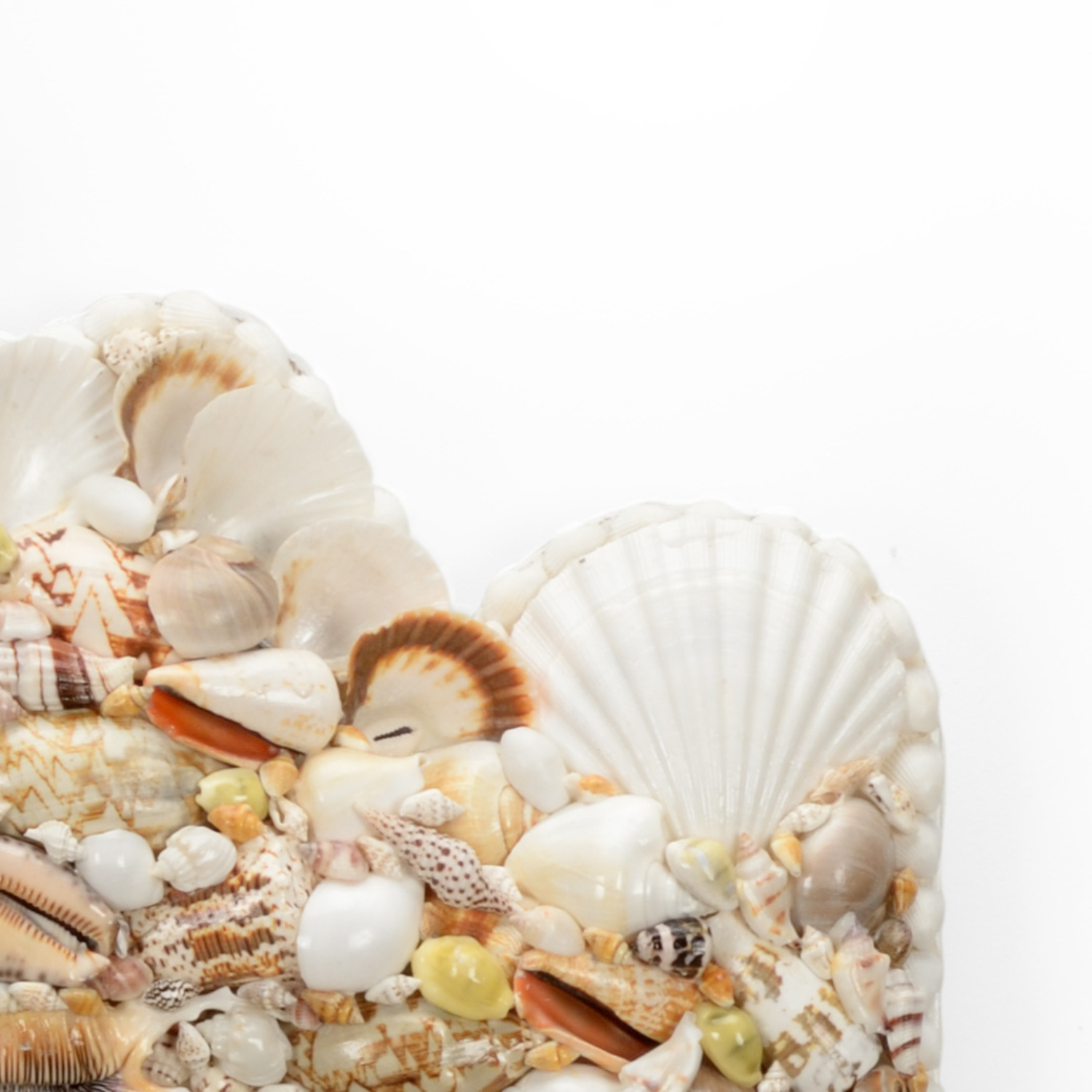 Shell Square Mirror