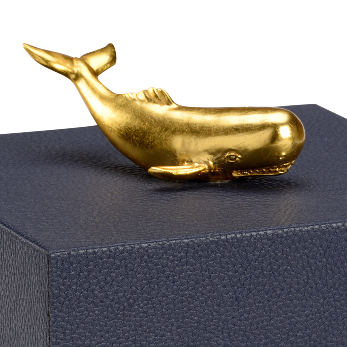 Whale Handle Box