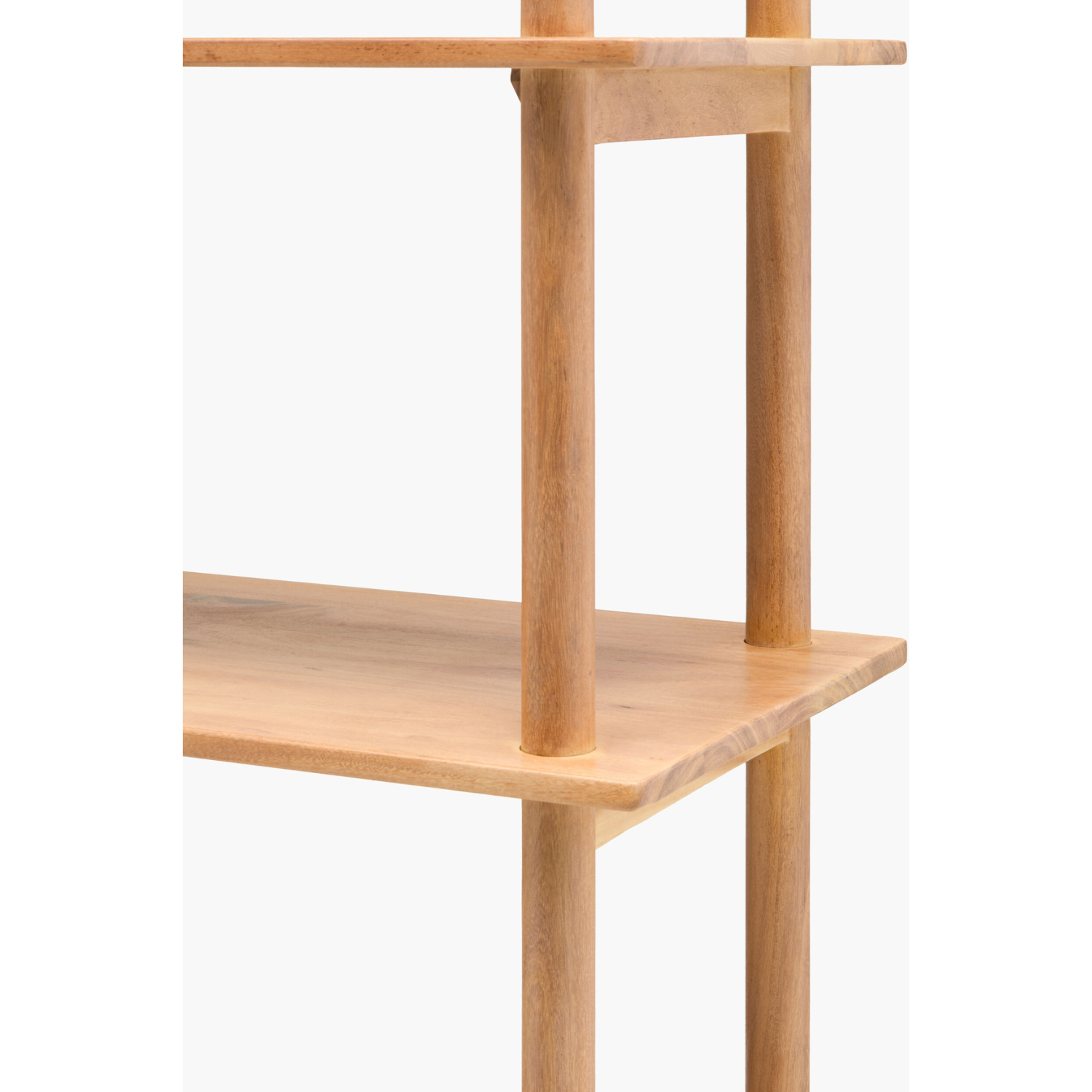 Orly Bookcase