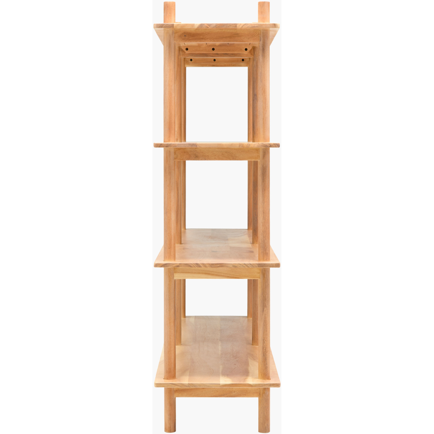 Orly Bookcase