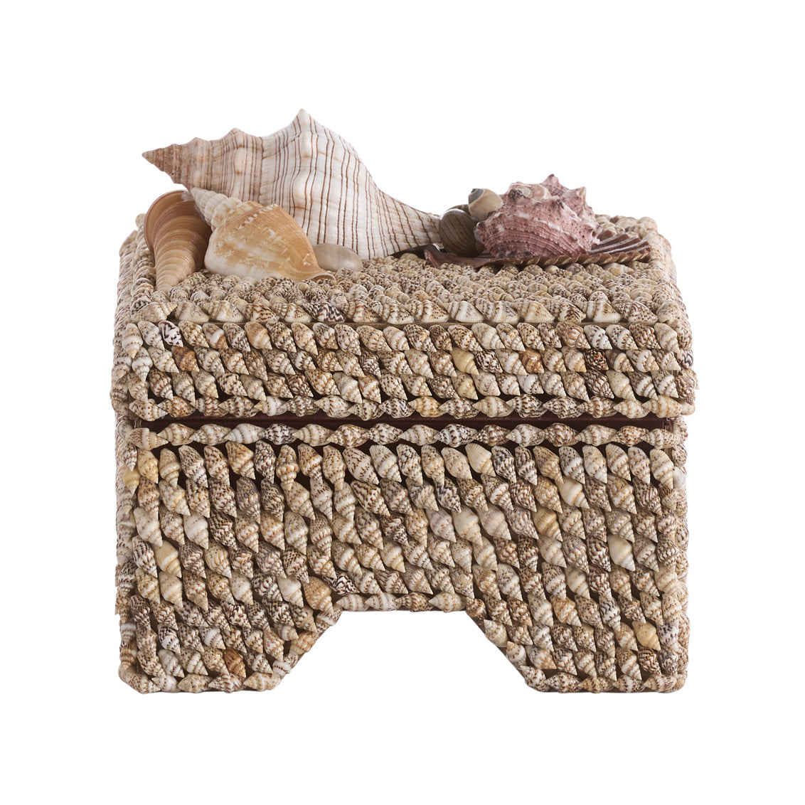 Island Shell Box
