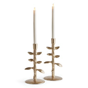 Rex Candle Holders Set of 2
