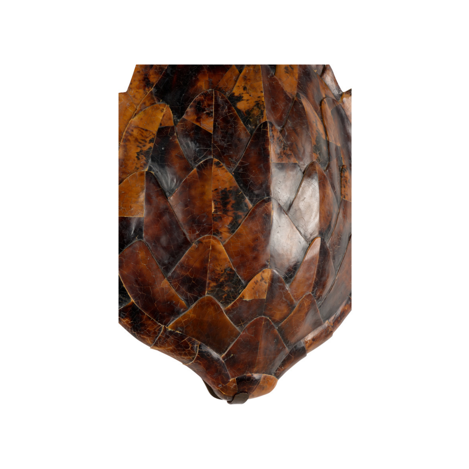 Penshell Sconce