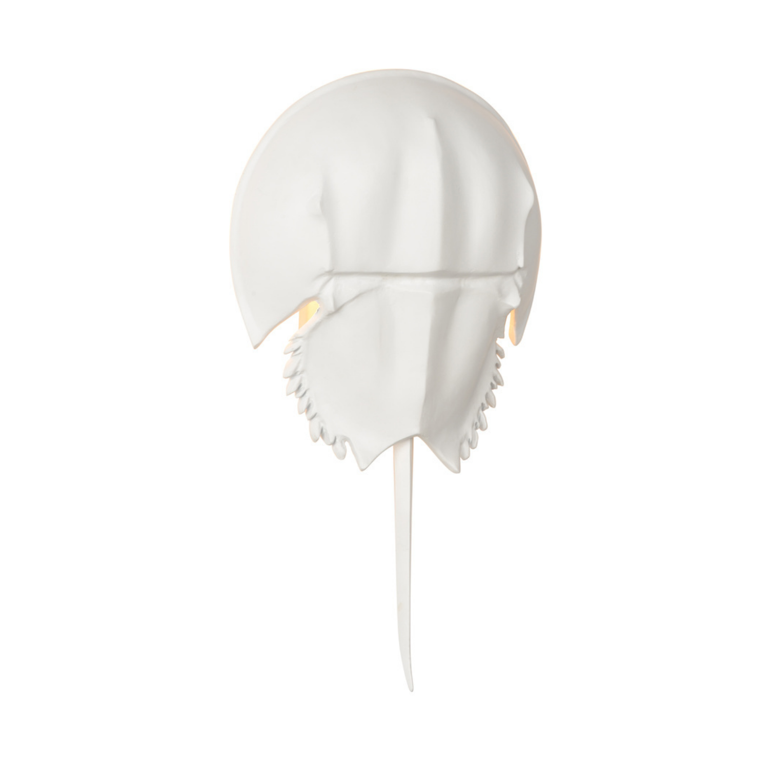 Horseshoe Crab Sconce - White