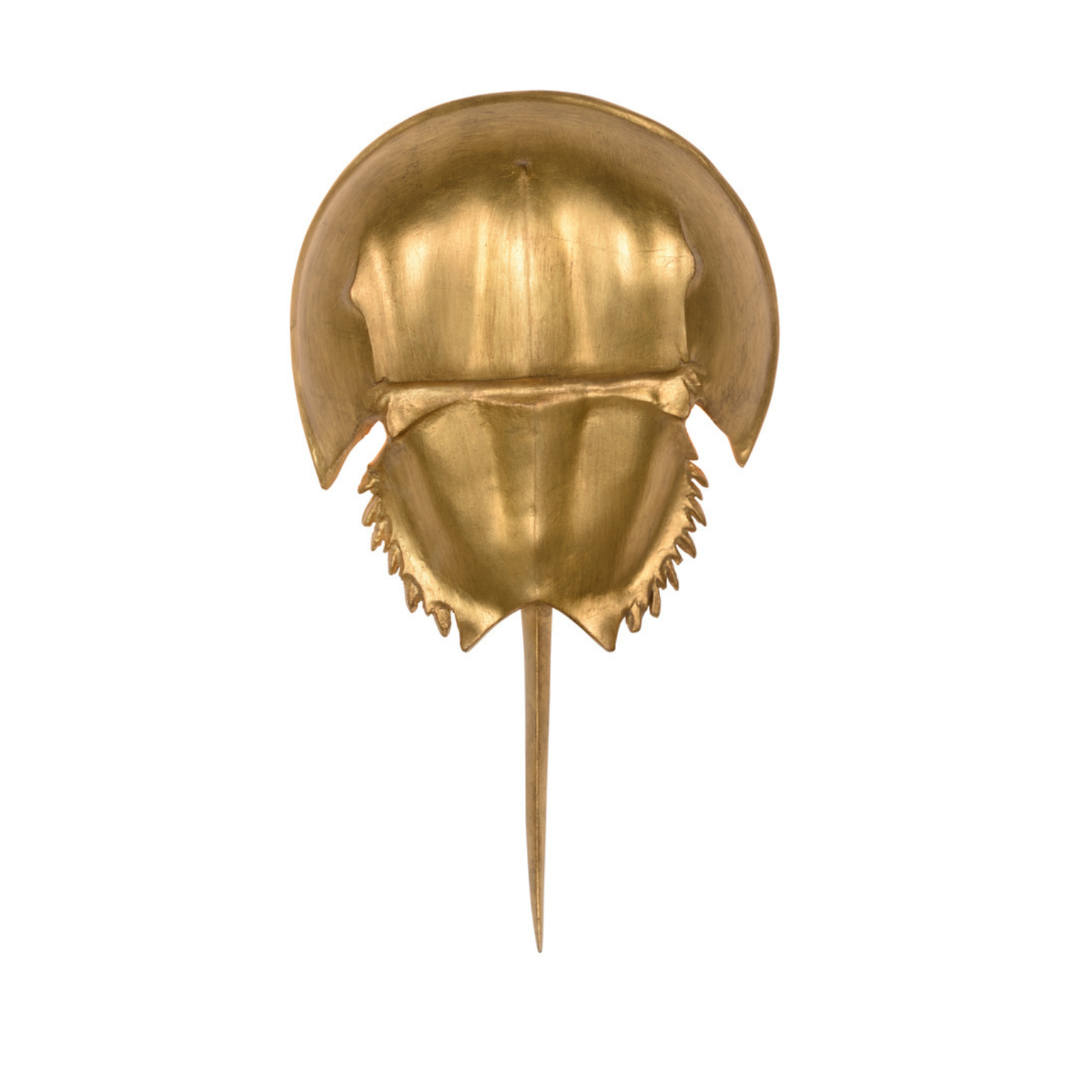 Horseshoe Crab Sconce - Gold