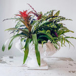 ACANTHUS CENTERPIECE WHITE