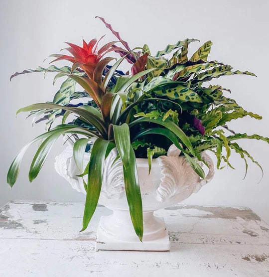 Acanthus Centerpiece White
