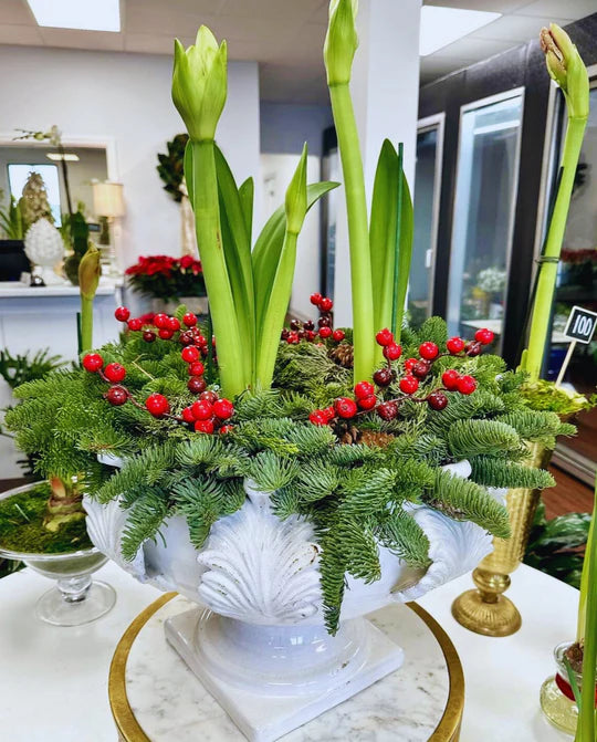 Acanthus Centerpiece White