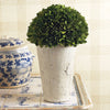 Evergreen Three-Quarter Ball in Pot