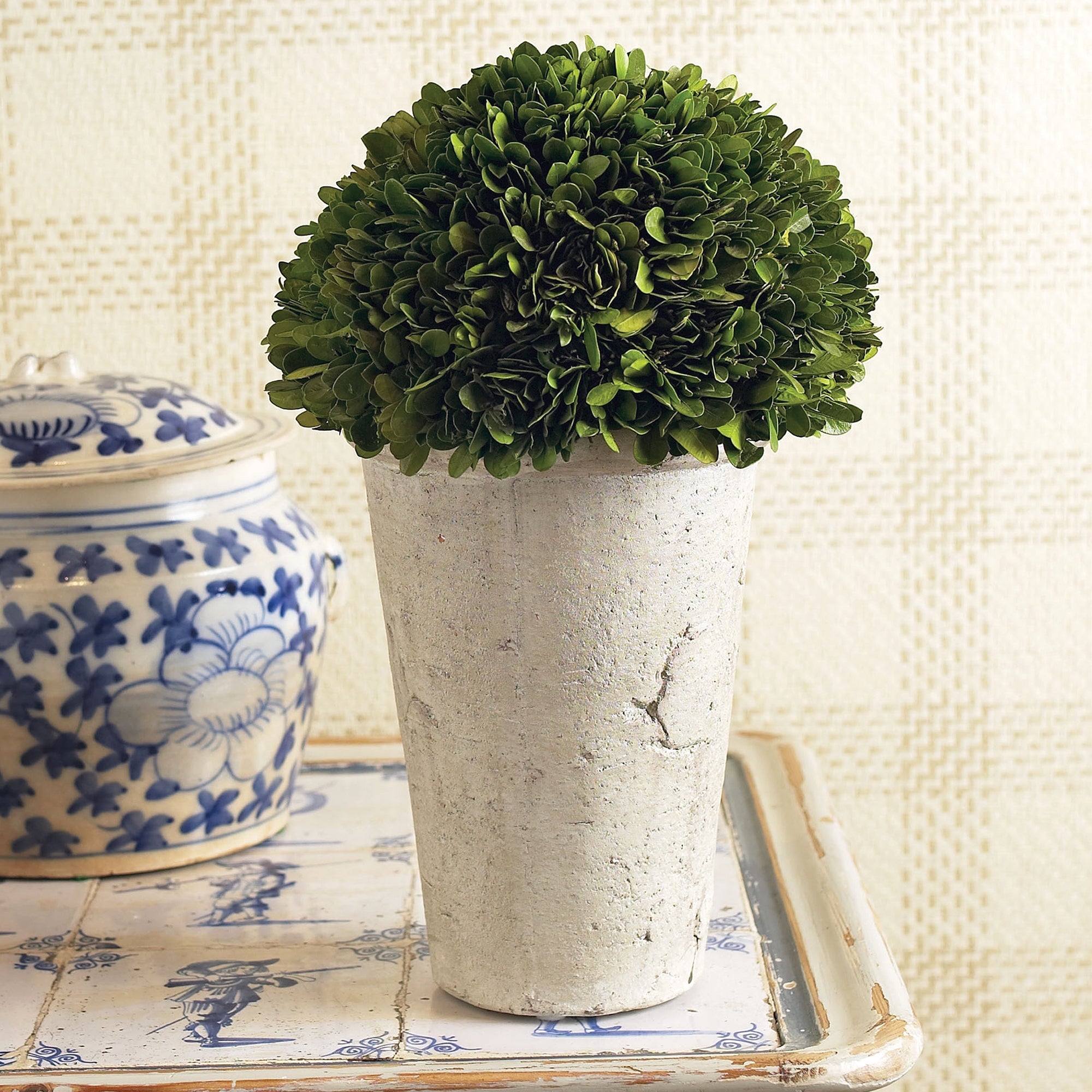 Evergreen Three-Quarter Ball in Pot