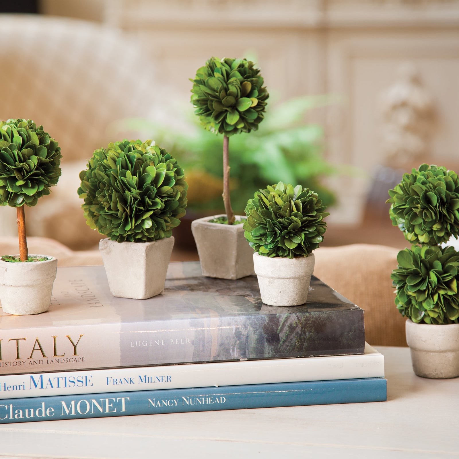 Evergreen Mini Topiaries in Pots, Set of 5