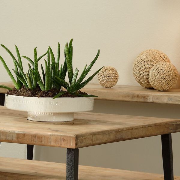 Coco Pedestal