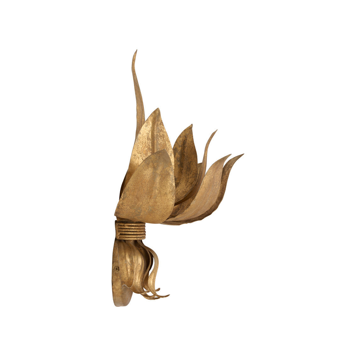 Potos Wall Sconce