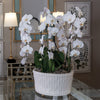 Bamboo Garden Cream Center Basin