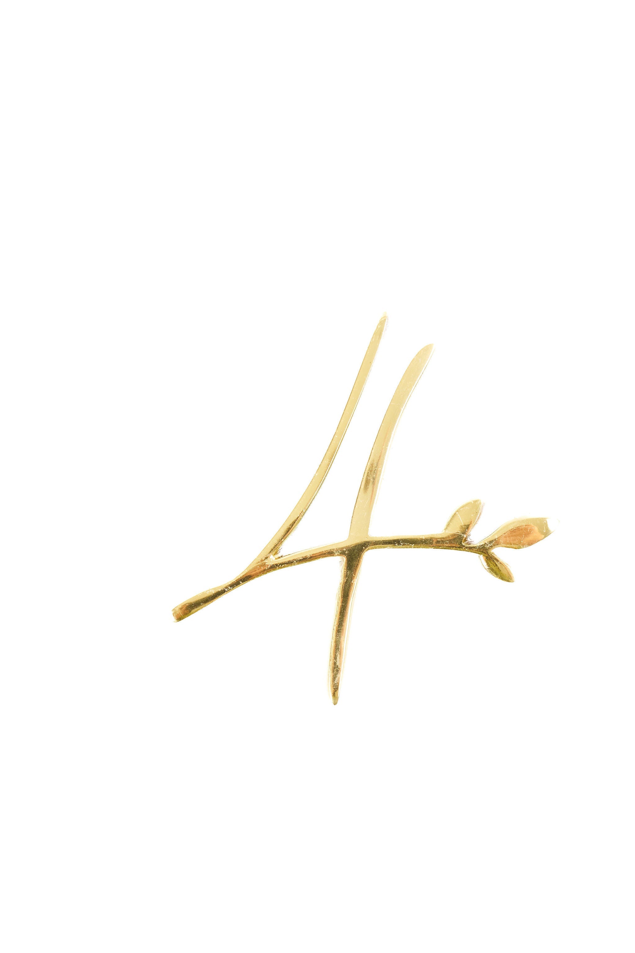 Leaf Flourish Brass House Numbers