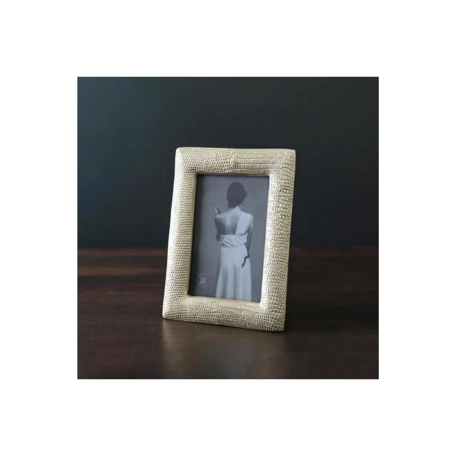 GIFTABLES Sierra Modern Python 4 x 6 Frame (Gold)