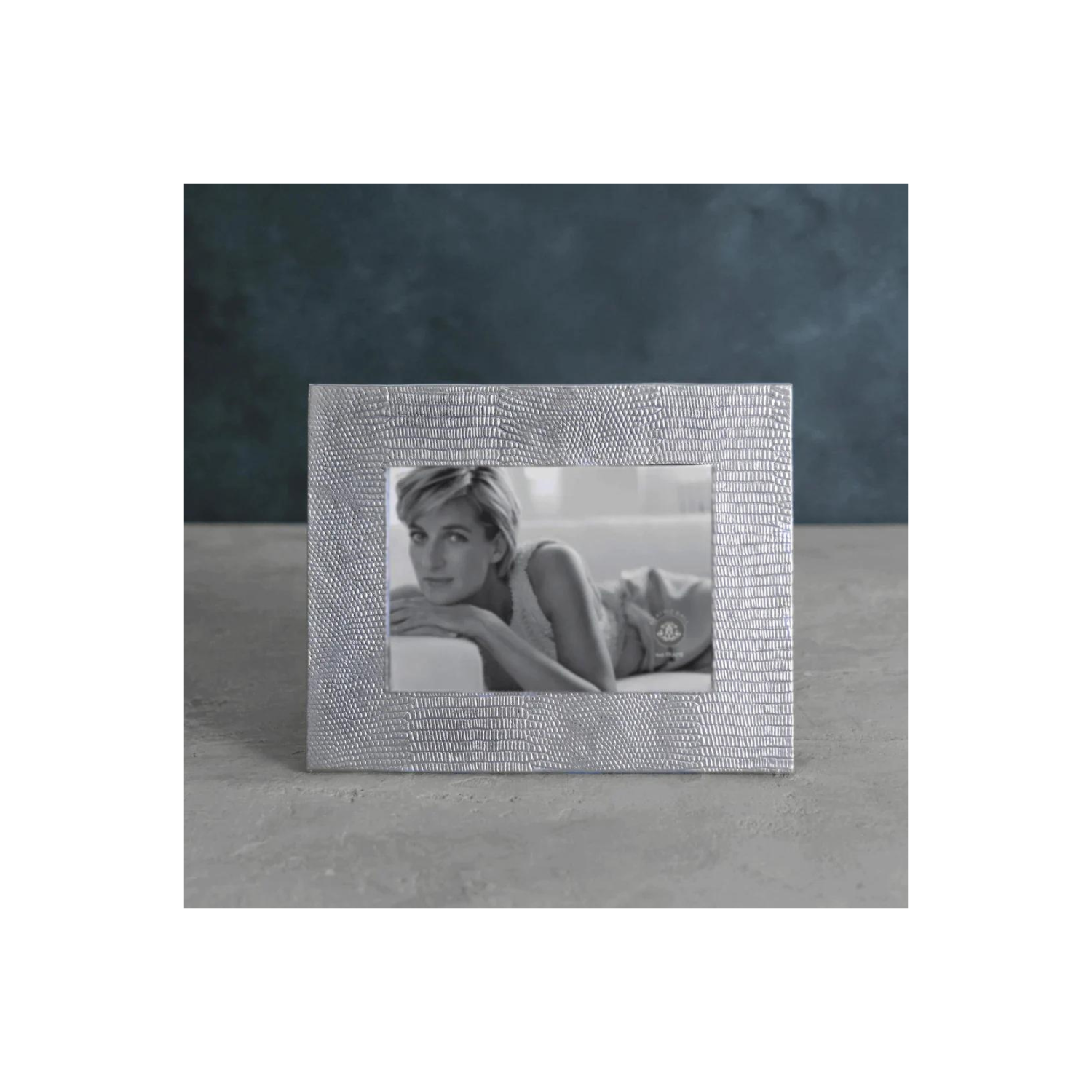 FRAME Pieles Snakeskin 5 x7 Frame
