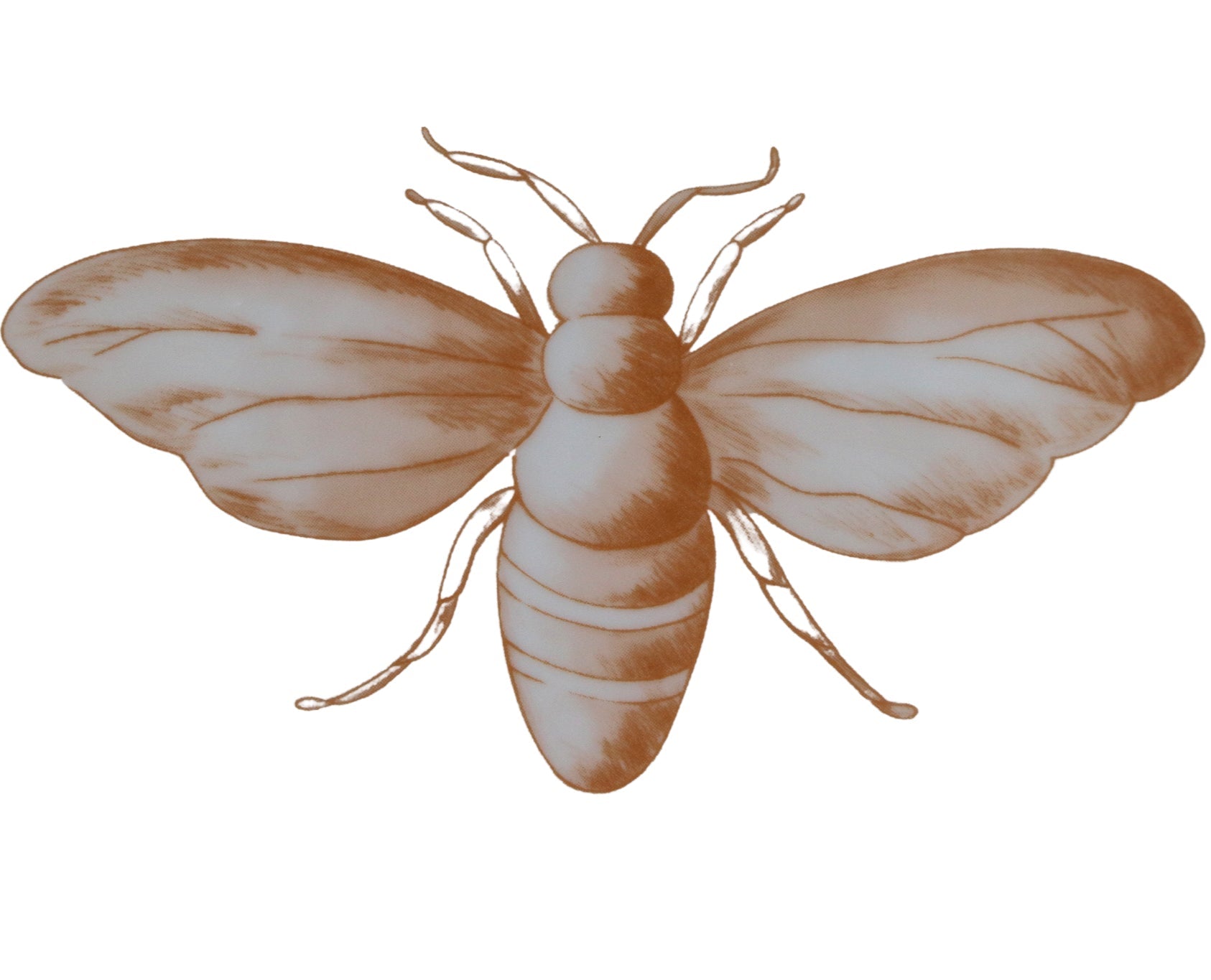 Bumble Homecoming Scalloped Starter Plate - Set of 4 (+1 Bonus Plate)