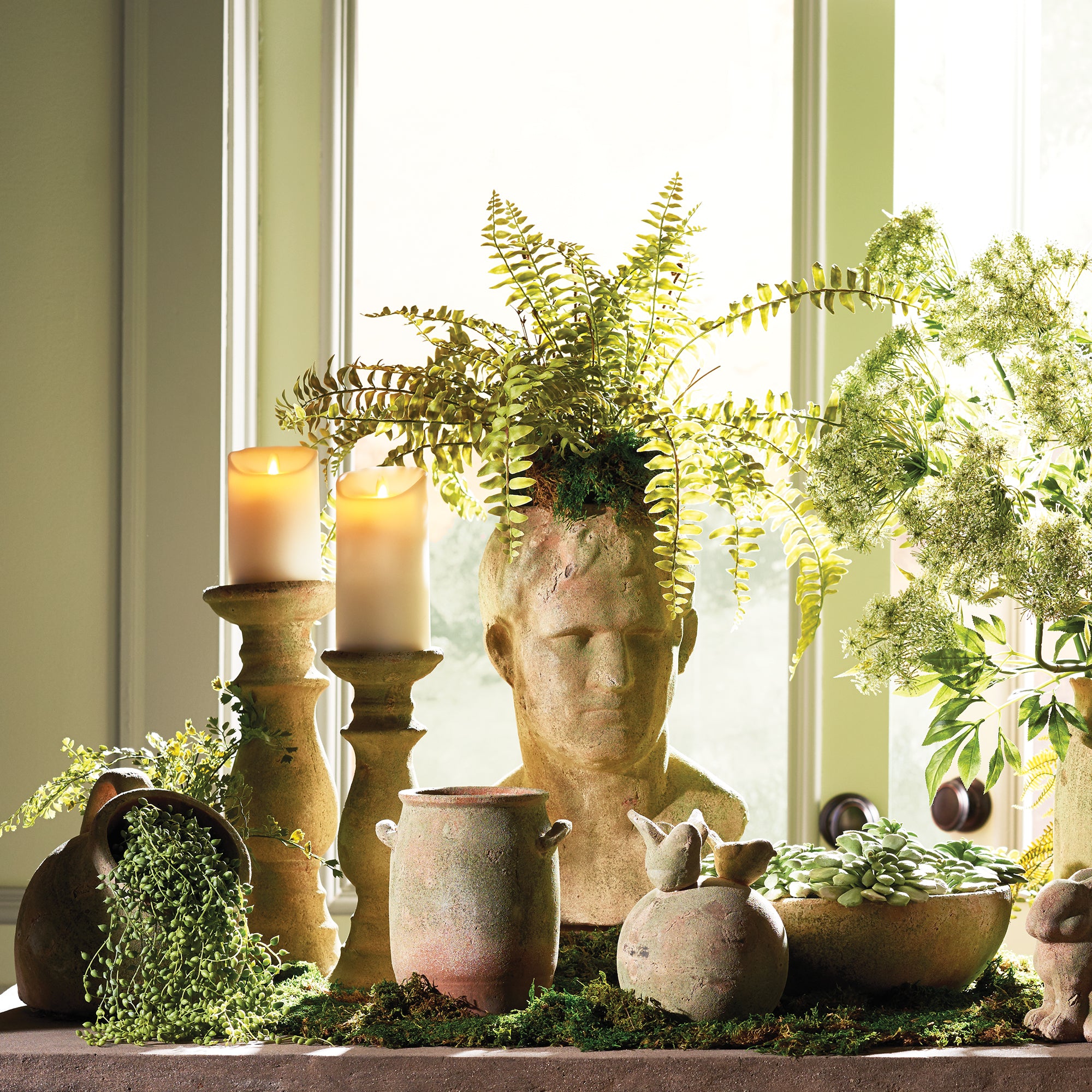Boston Fern Drop-in