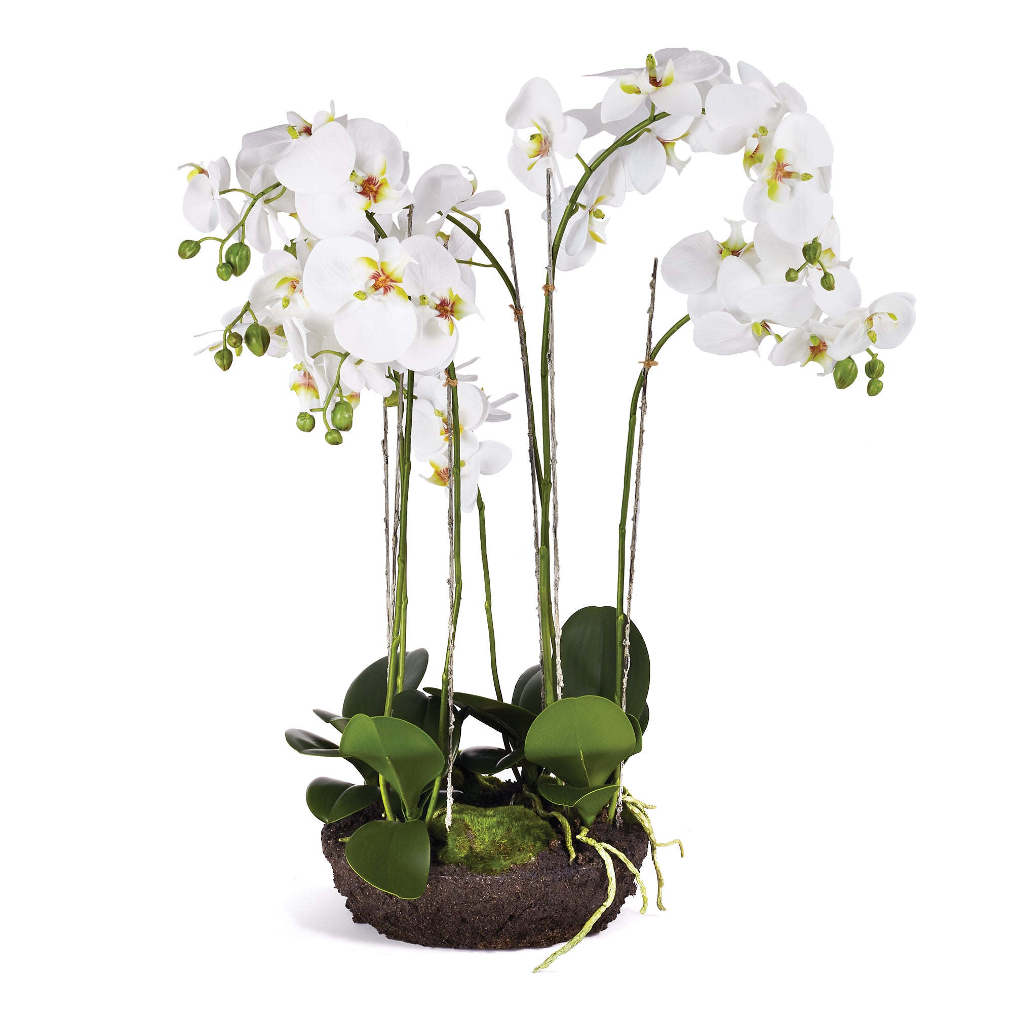 White Phalaenopsis Bowl Drop-in