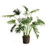 Tropical Leaf Selloum Drop-in 22.5"