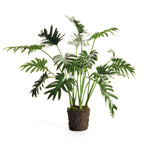 Tropical Leaf Selloum Drop-in 22.5"