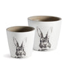 Bunny Pots, Set of 2