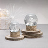 2-Piece Set Sculptured White Tree Snow Globe on Birch, Small