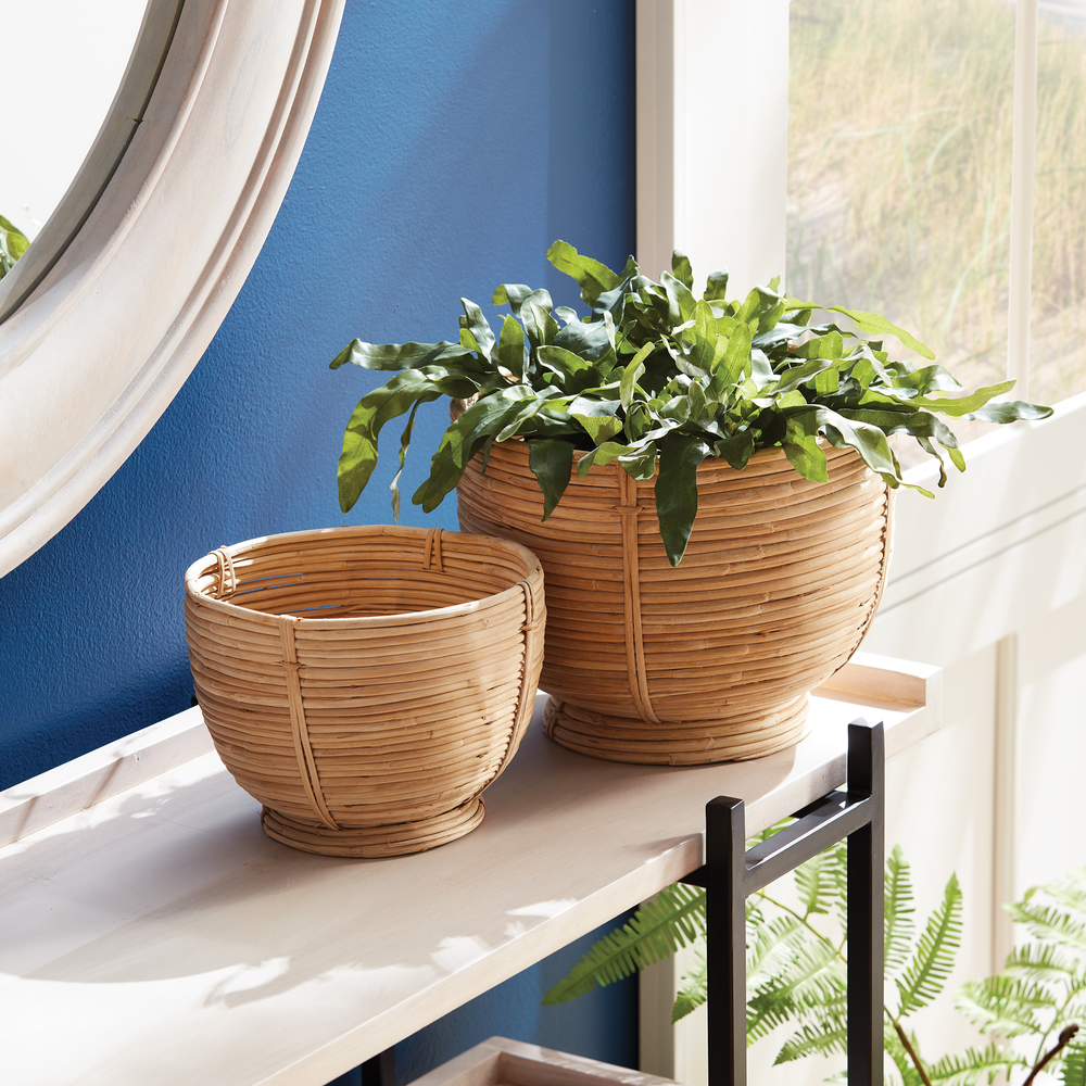 Luca Footed Bowls Set of 2