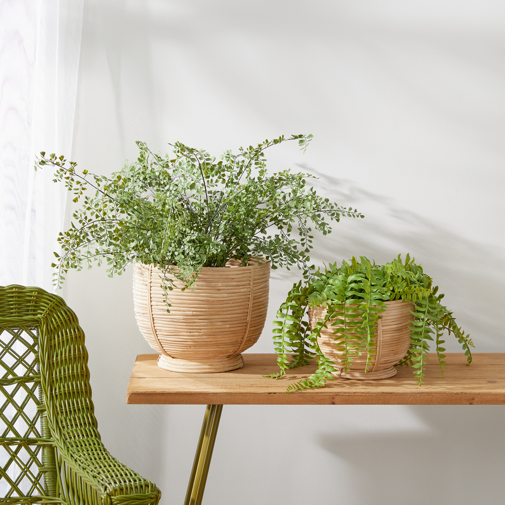 Luca Footed Bowls Set of 2