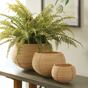 Luca Plant Baskets Set of 3