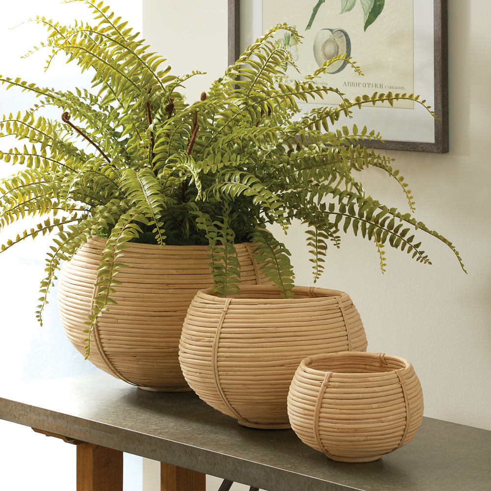 CANE RATTAN PLANT BASKETS, SET OF 3