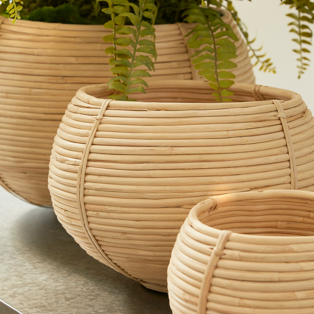 CANE RATTAN PLANT BASKETS, SET OF 3