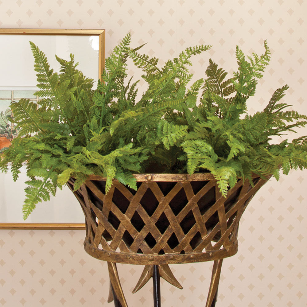 Evergreen Fern Drop-in