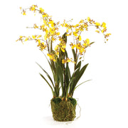 Yellow Dancing Orchid Drop-in 32"