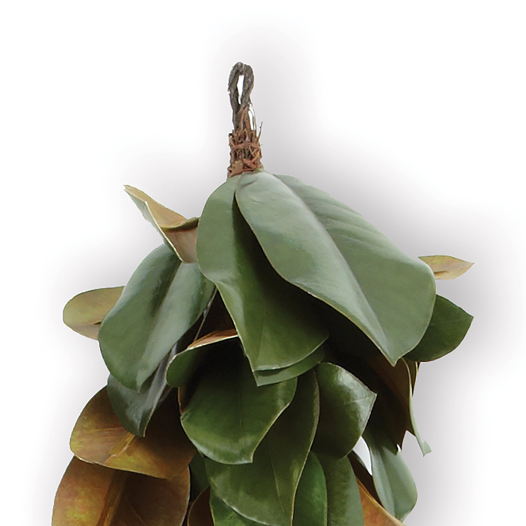 Southern Magnolia Leaf Garland 72"