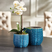 Archie Pots, Set of 2
