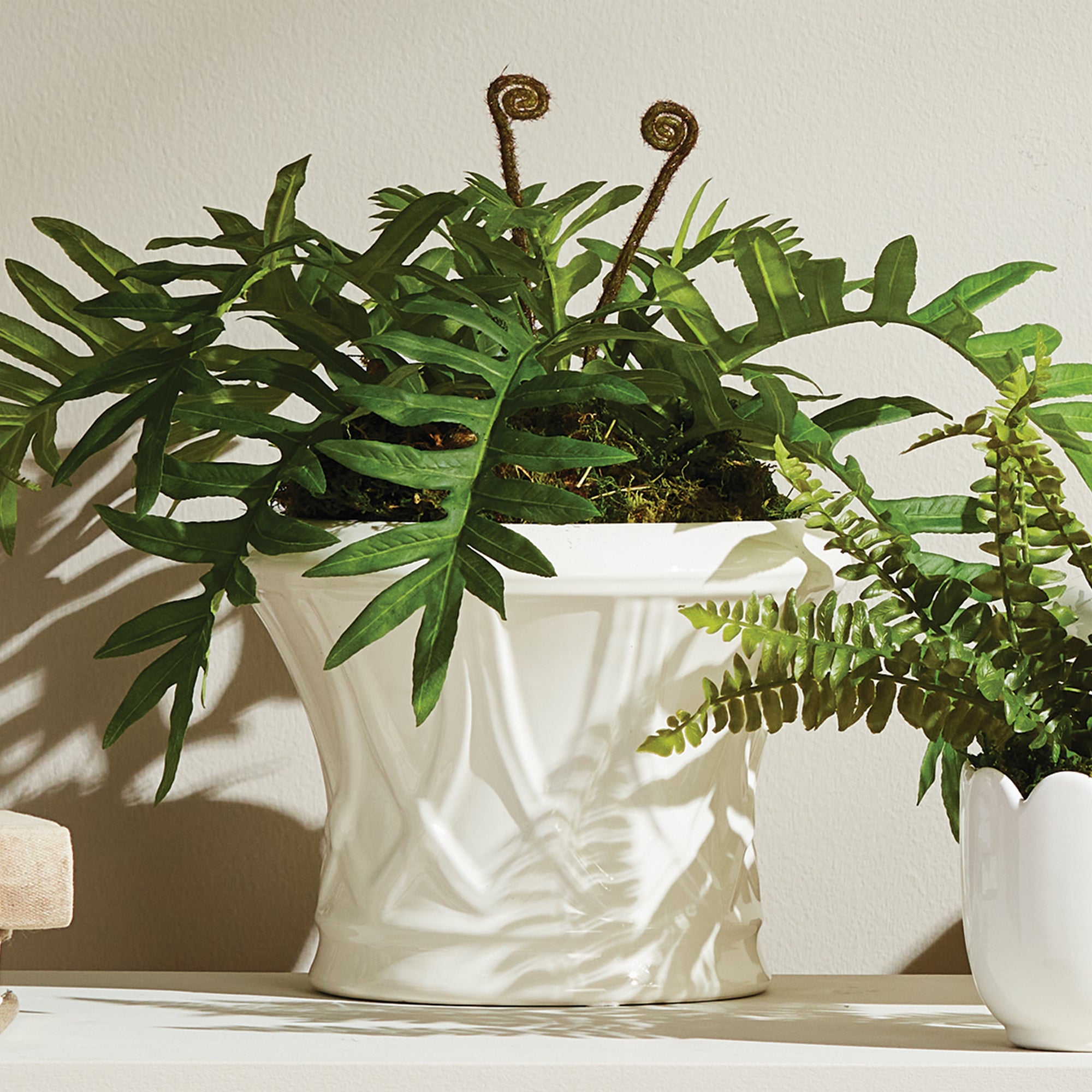 Grove Tapered Cachepot