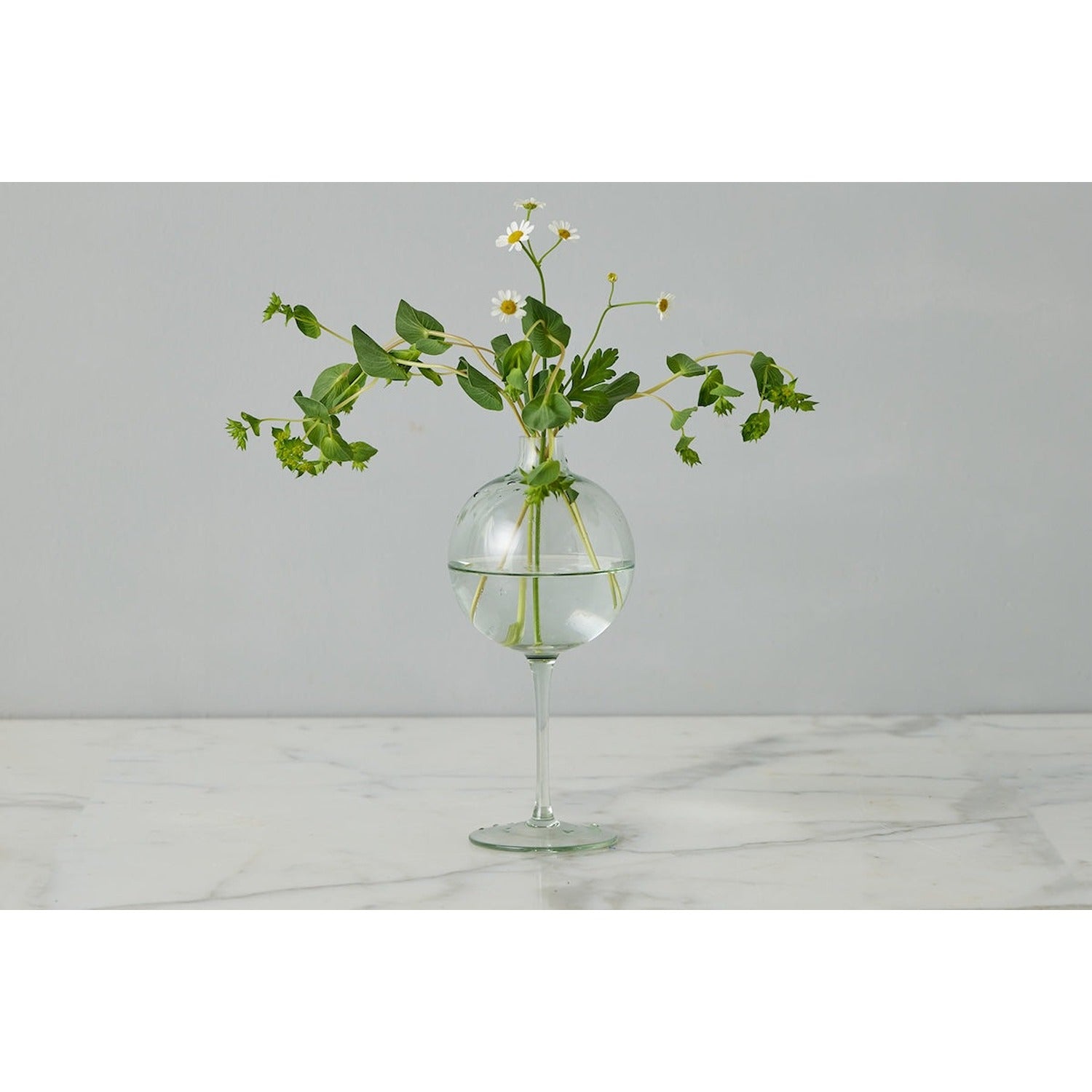 Wine Glass Vase, Medium