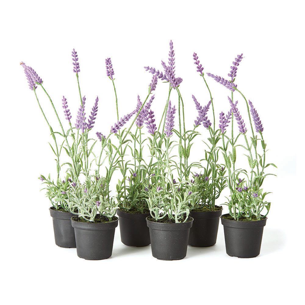 Luxe Lavender Drop-In, Set of 6
