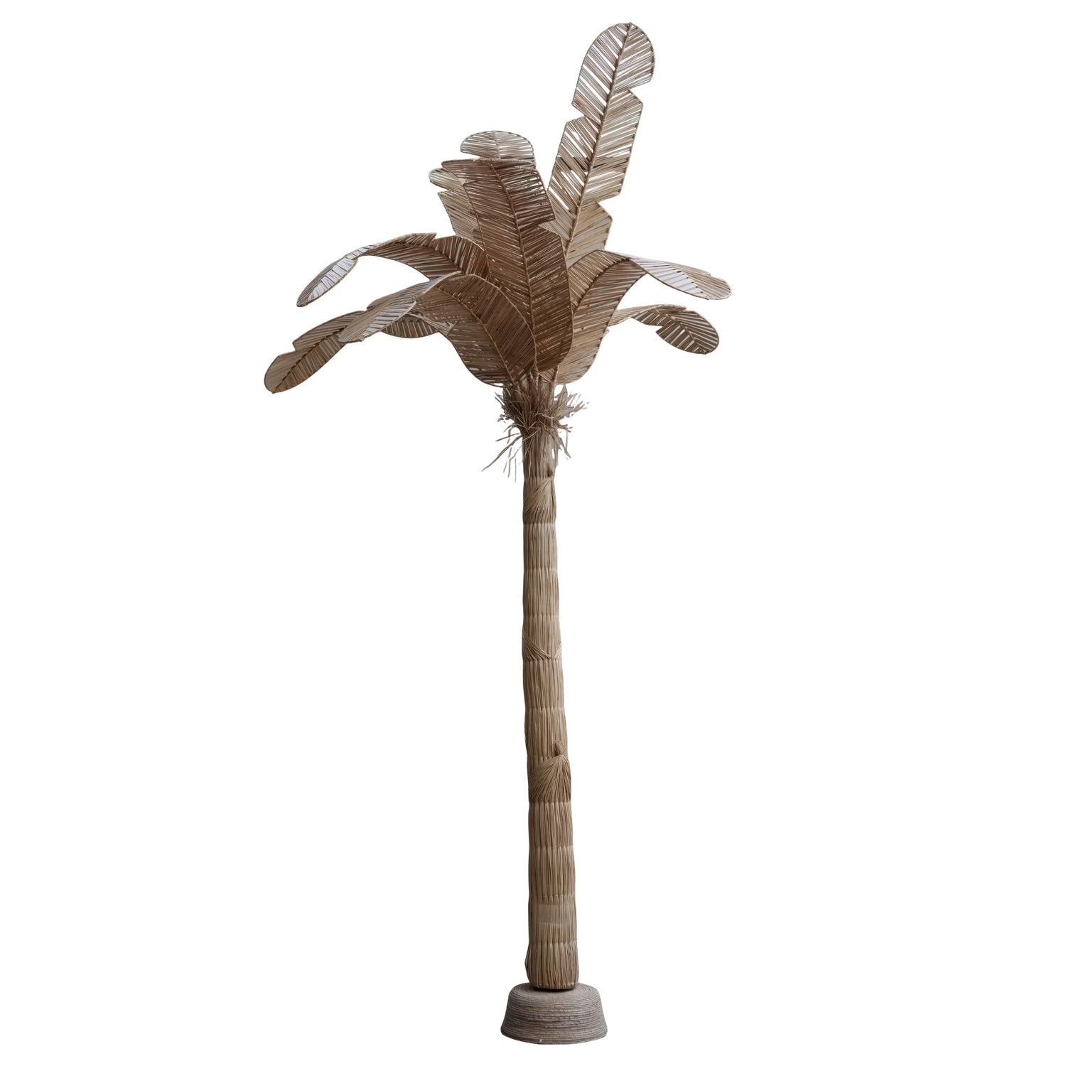 Palm Tree