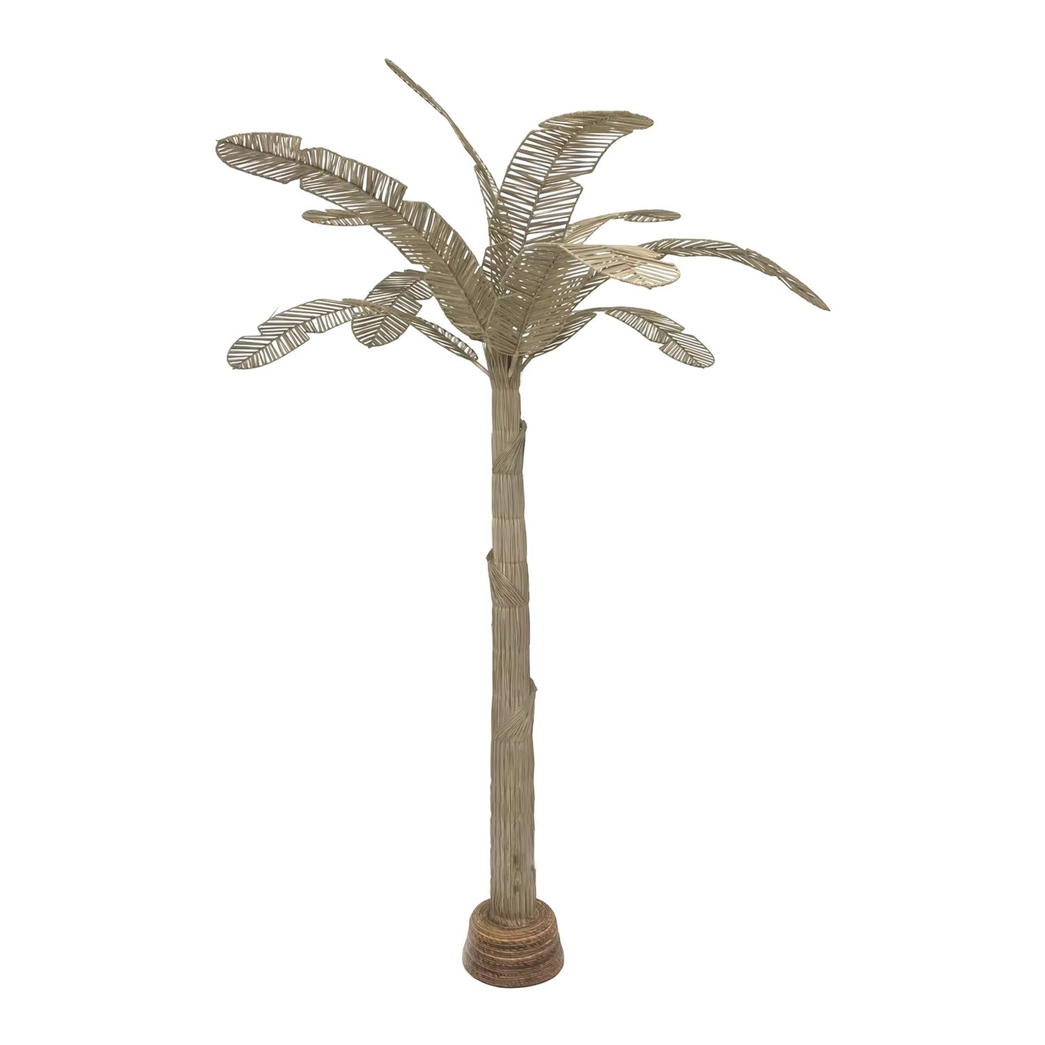 Palm Tree