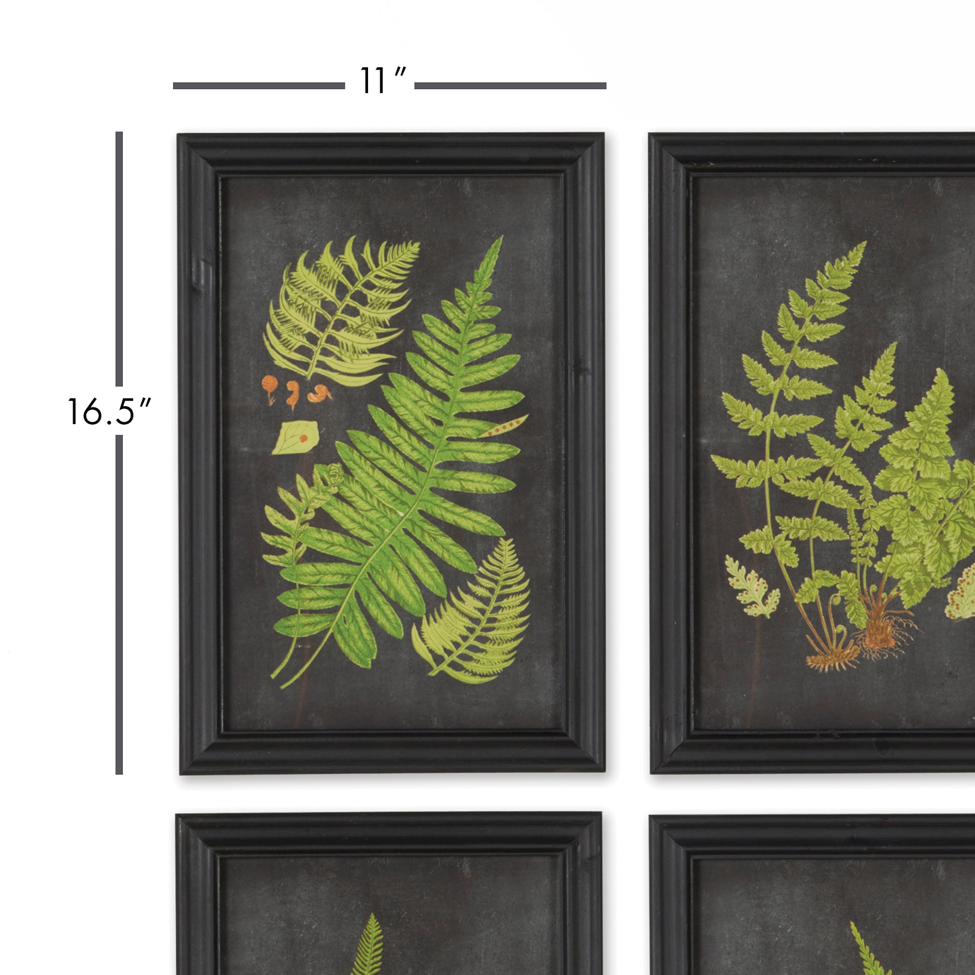 Ferniere Botanical Prints, Set of 9