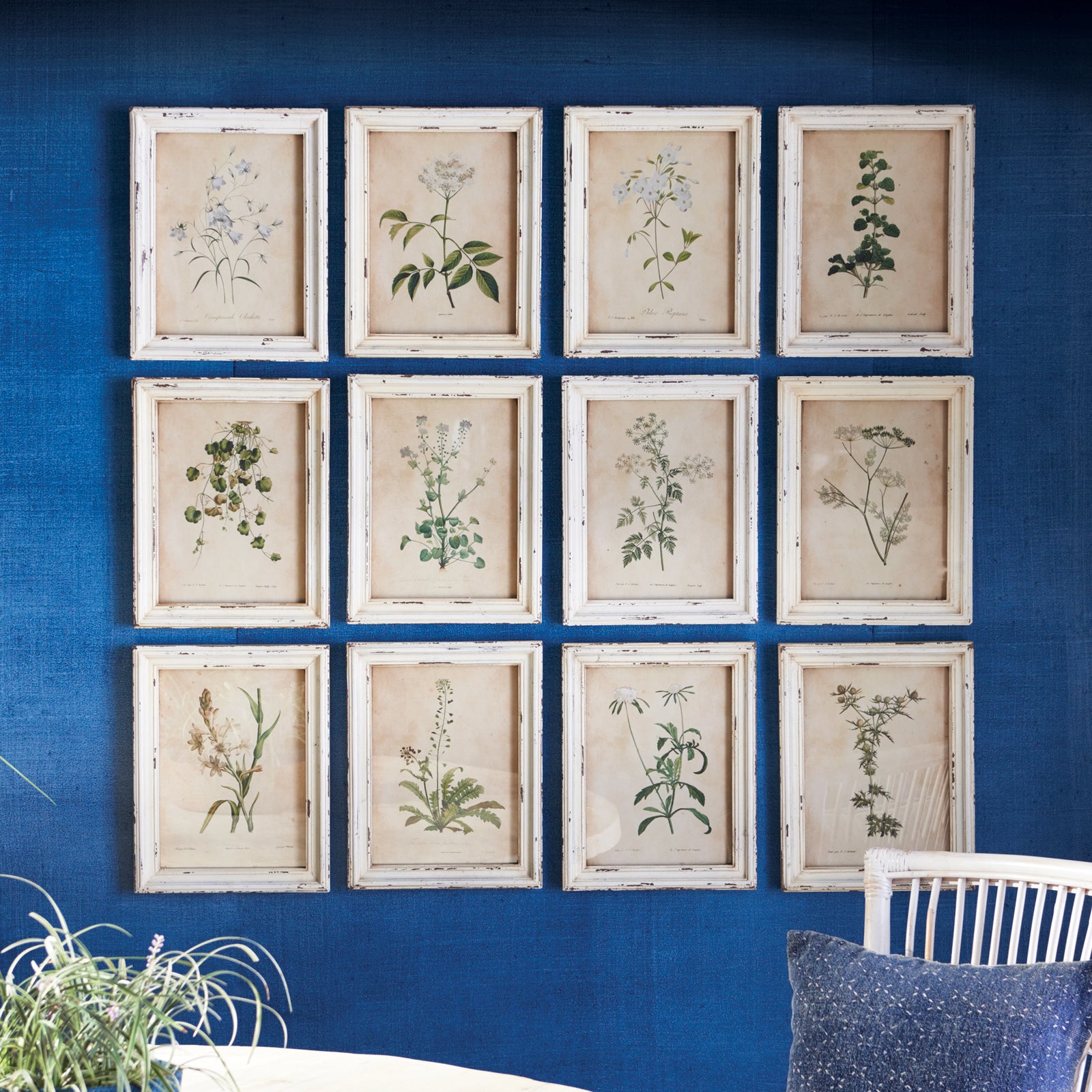 Framed Flora Botanical Prints, Set of 12